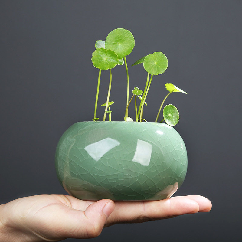 京兰哥窑铜钱草花瓶清新桌面花器摆件水培小花盆陶瓷容器花卉水养,鲜花速递/花卉仿真/绿植园艺,花盆,淘宝优惠券,粉丝福利购,淘宝优惠卷