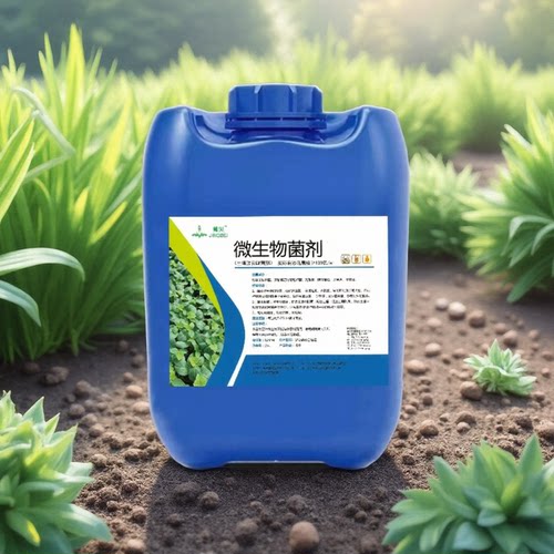 农用种植EM菌种生根壮苗改良土壤板结疏松盐碱土质有益微生物菌剂