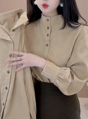 女士复古立领衬衫秋冬新款轻奢高级感内搭加厚高领打底衫上衣女