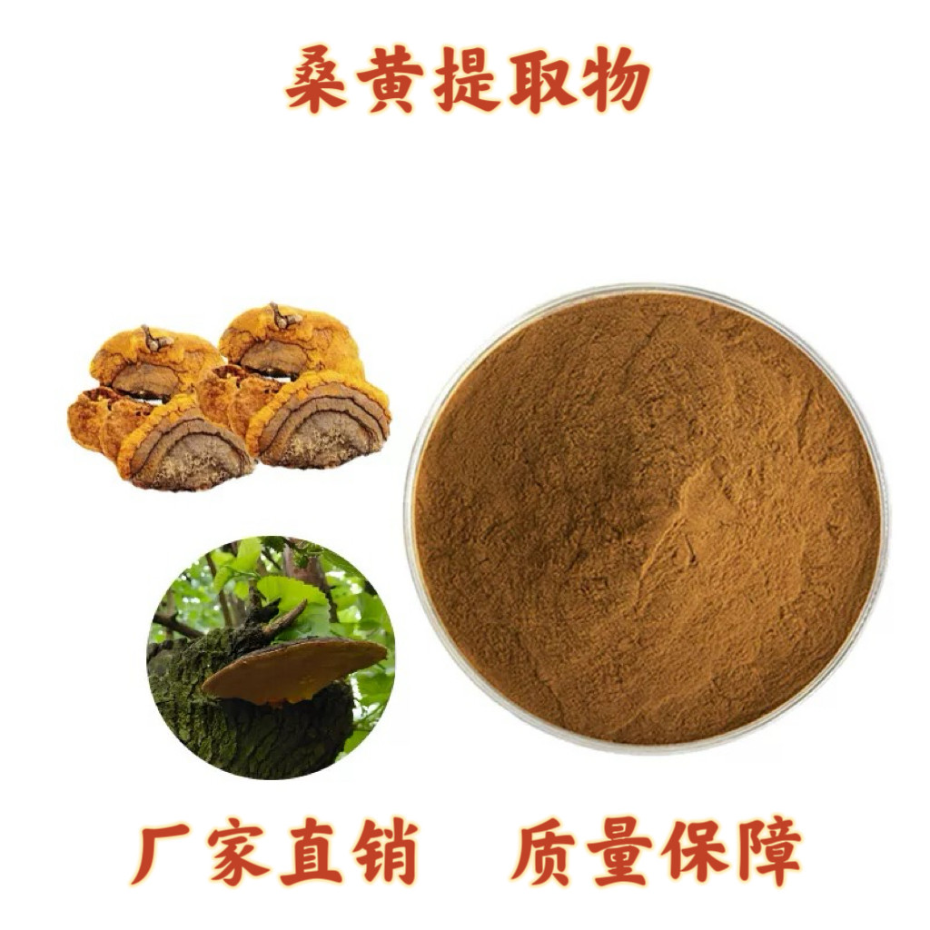 桑黄提取物 桑树桑黄多糖30% 杨树桑黄多糖60%提取物粉末速发包邮