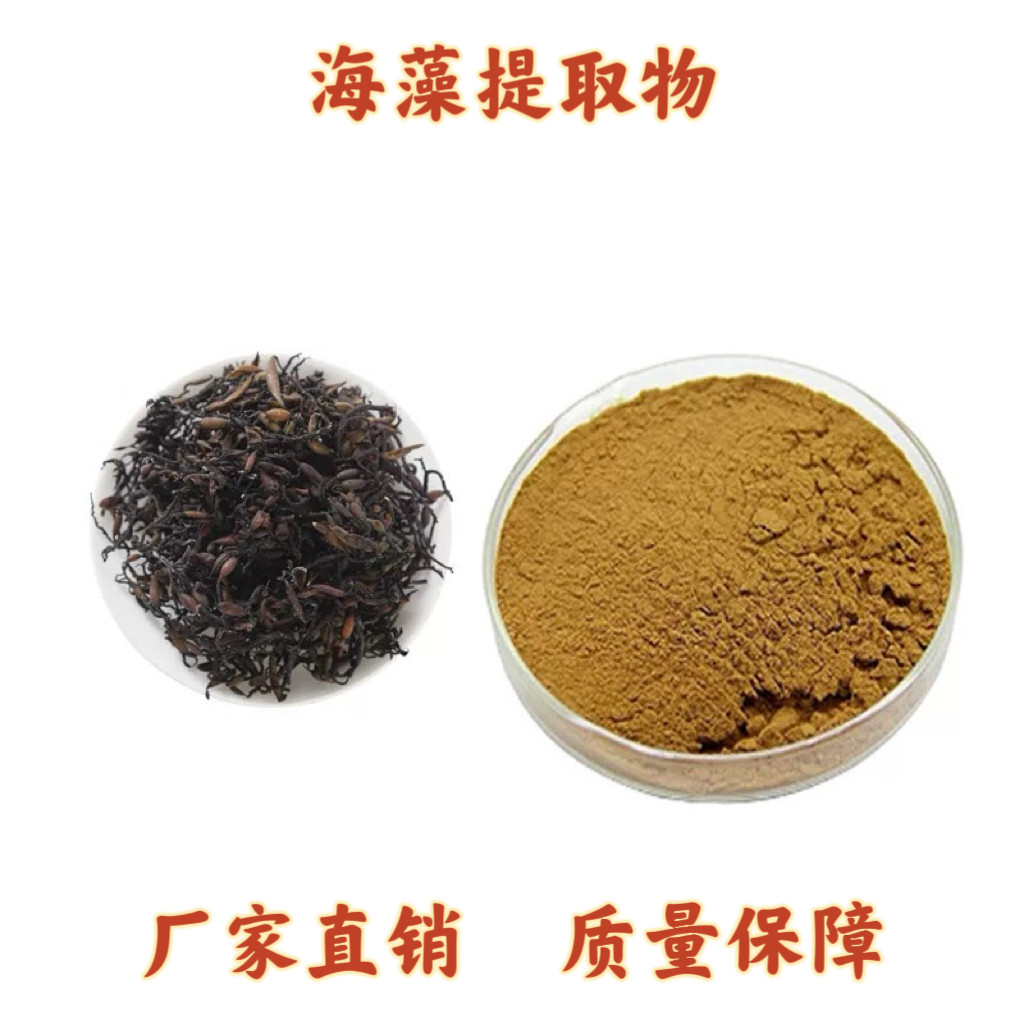 海藻提取物30:1 大叶海藻多糖浸膏粉末提取物 海藻粉现货赠勺子
