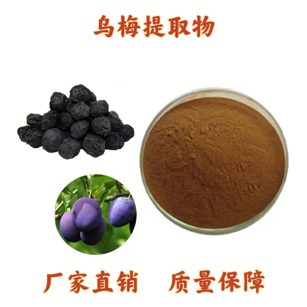 乌梅提取物10:1 野生纯乌梅粉 浓缩免煎粉浸膏粉乌梅粉末果蔬饮品