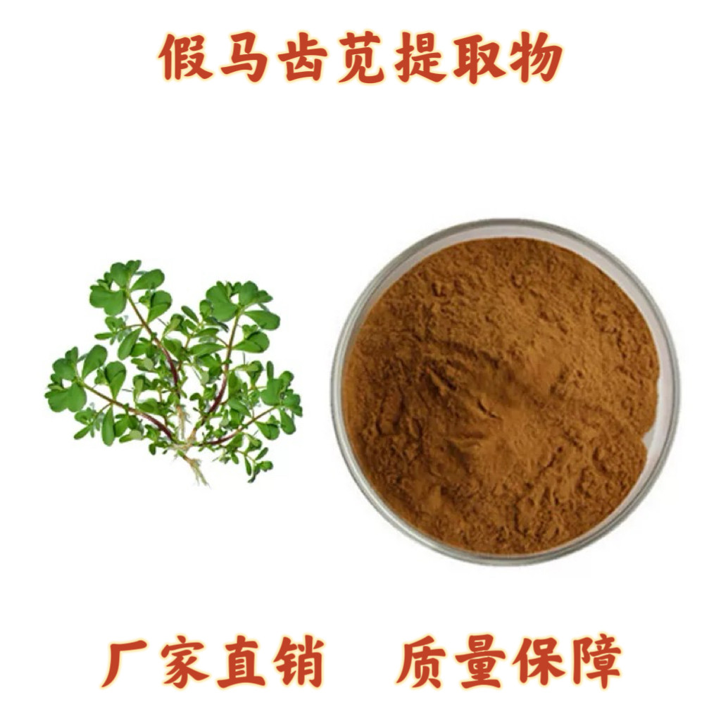 假马齿苋提取物 假马齿苋皂苷A+B10%20%假马齿苋皂甙粉末