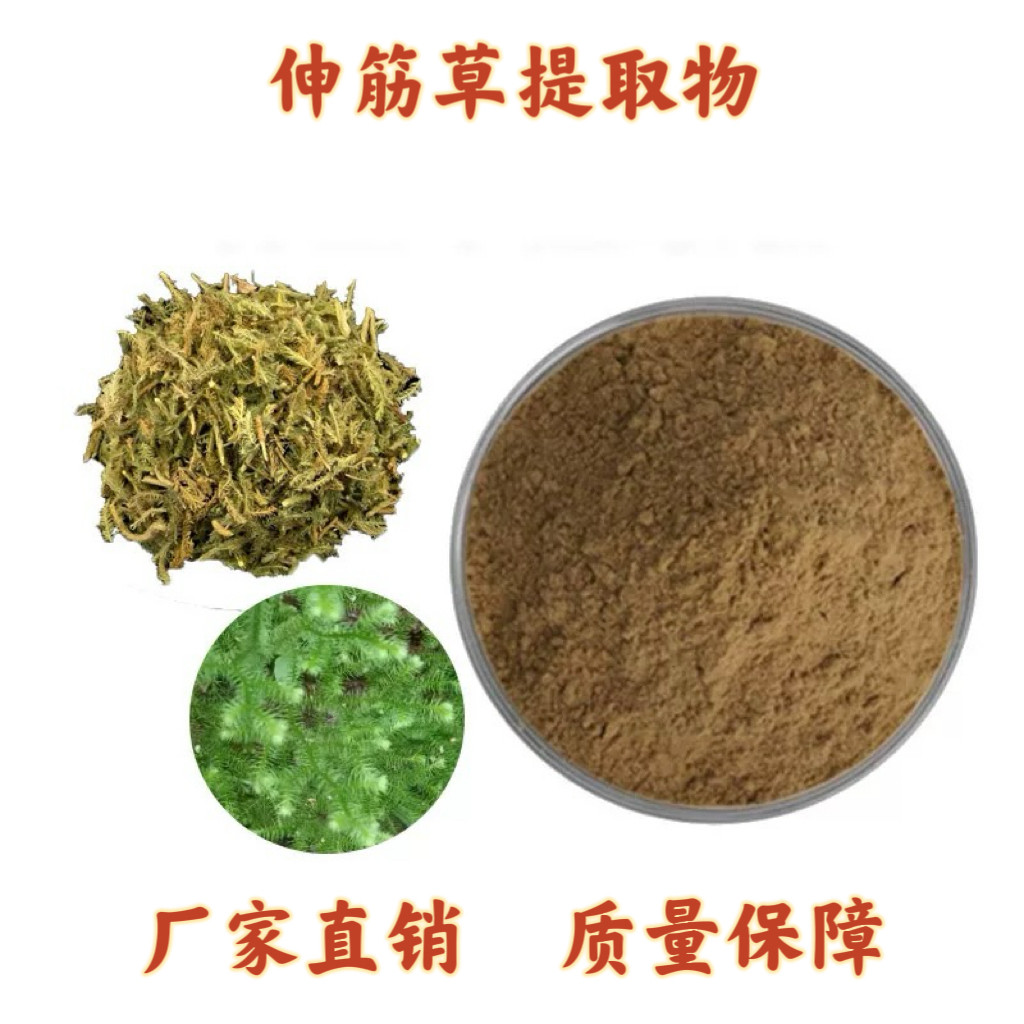 伸筋草提取物30:1 石松提取物粉末石松碱7% 天然植物原料包邮速发