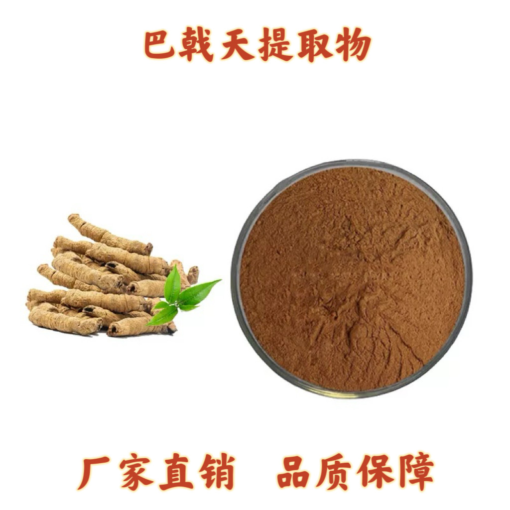 巴戟天提取物30:1巴戟天皂甙苷 巴戟天提取物浸膏浓缩精华粉末
