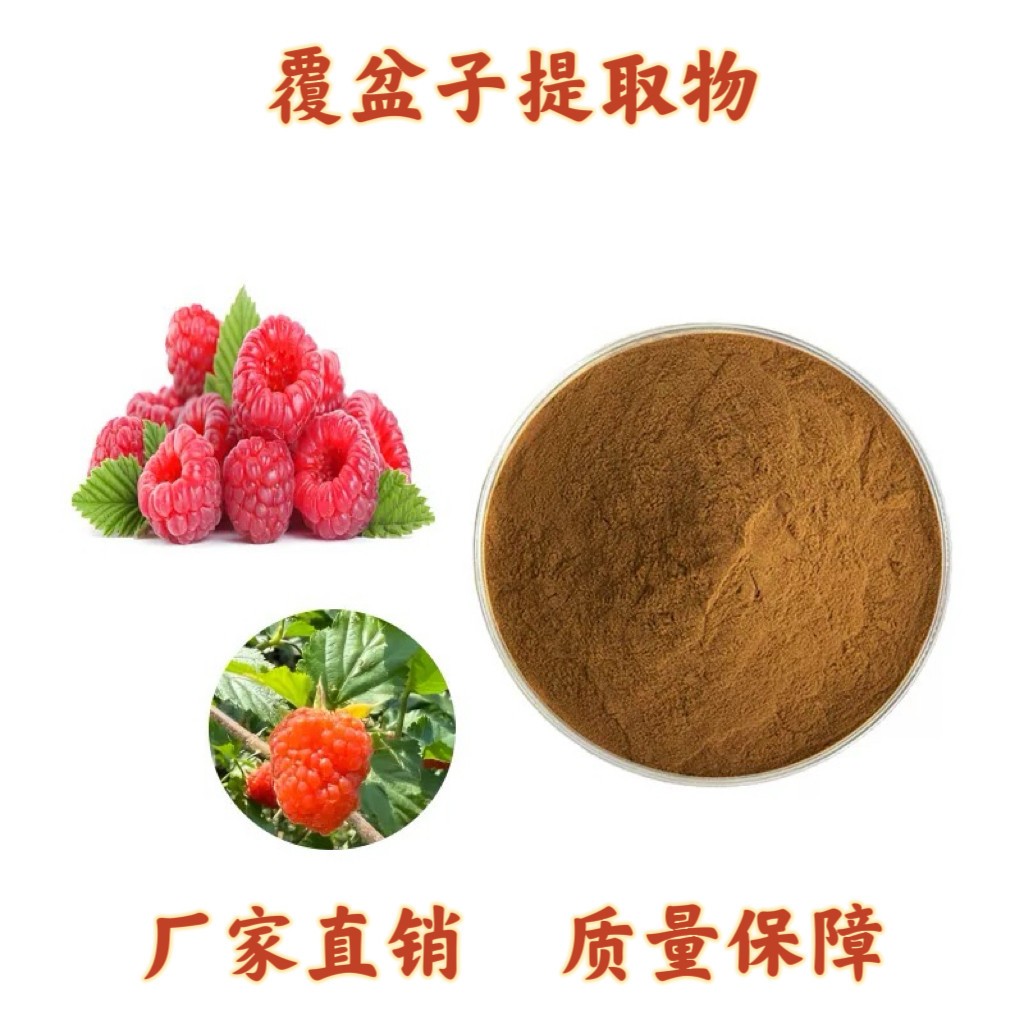 覆盆子提取物20:1 天然植物提取物 水溶性浓缩粉 原料粉末