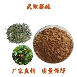 武靴藤酸25% 匙羹藤酸 匙羹藤浓缩精华粉 血糖 速发 赠送量勺