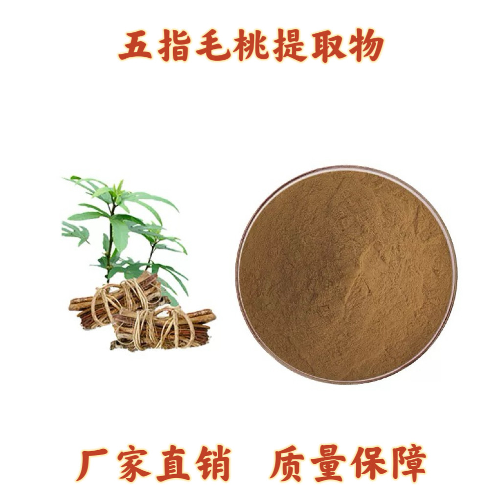 五指毛桃提取物粉30:1 全水溶五指毛桃提取物 土黄芪提取物速发