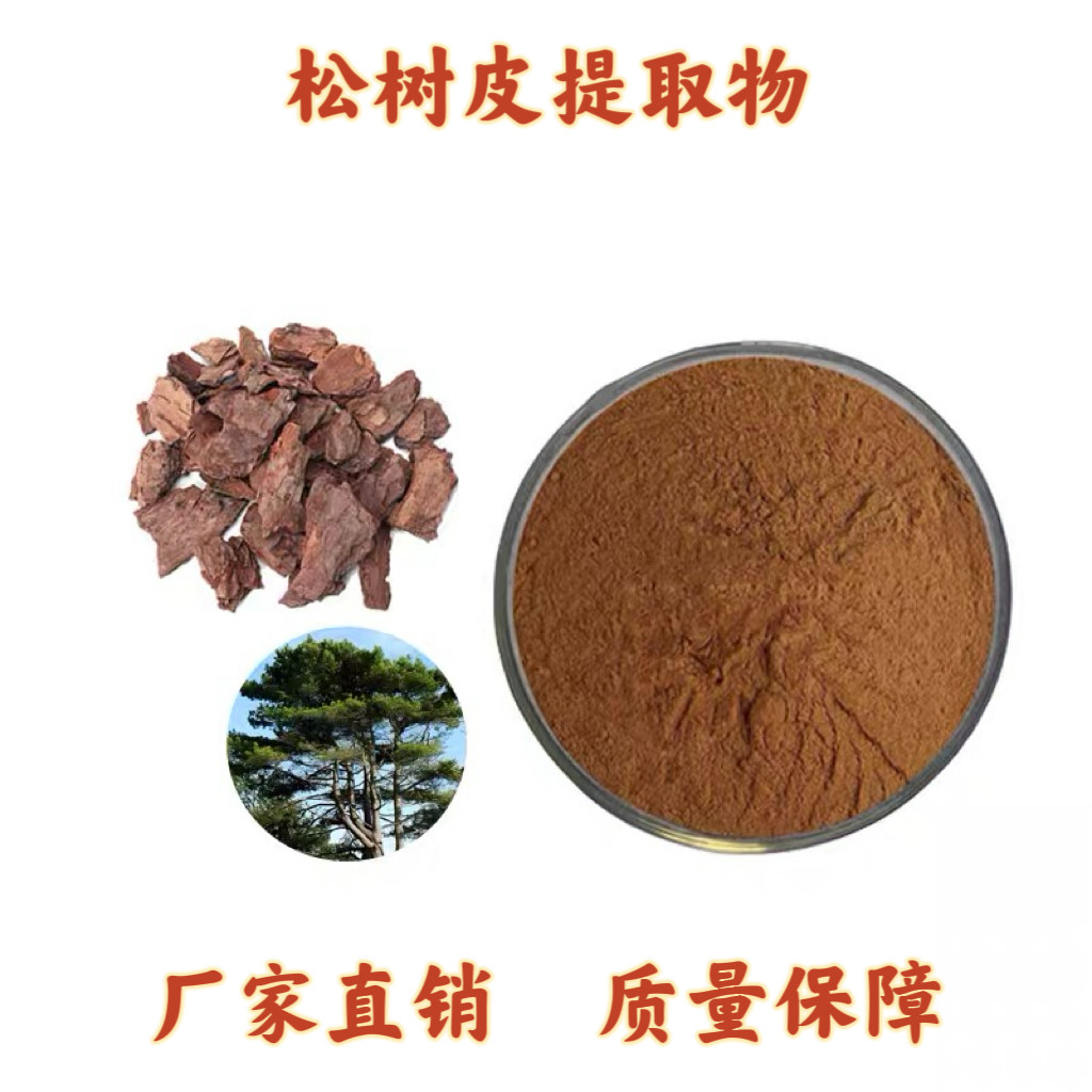 松树皮提取物30：1 95%松树皮多酚 原花青素多聚体源头工厂