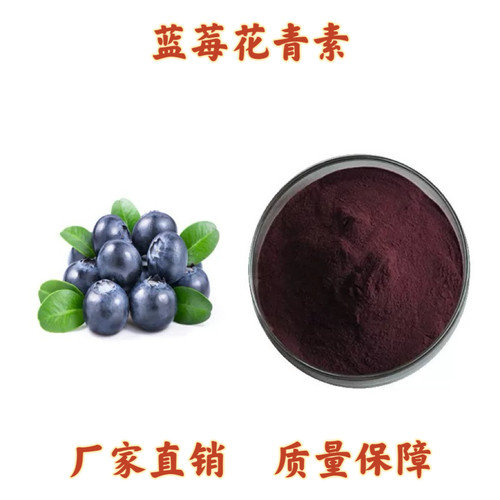 蓝莓花青素提取物 花青素25%40%出口级 植物原料100克