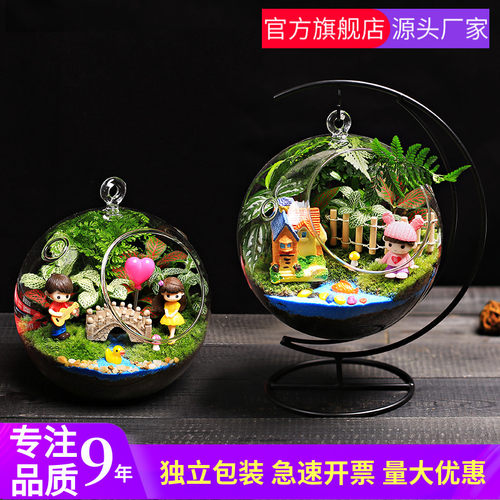 16c苔藓微景观生态双孔吊瓶月亮架DIHY材料包桌面迷你绿植物小盆