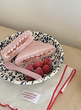 老麦 insg泼墨搪瓷复古露营水果盘早餐盘烤盘酸奶碗咖啡杯水杯