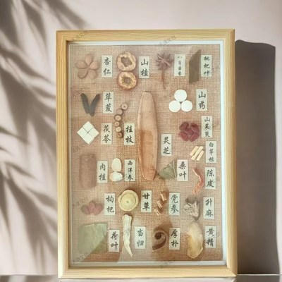 植物中药材标本DkIY中医养生装饰画诊室医院学校摆台布景相框展示