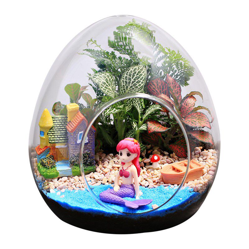 大蛋型玻璃瓶苔藓微景观绿s植物创意盆栽 办公室内桌面diy材料套