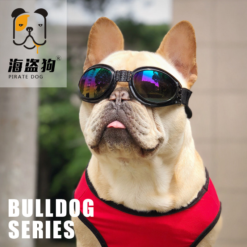 法斗柯基眼镜宠物遮光太阳镜泰迪大中小型犬护目镜防风骑车眼镜
