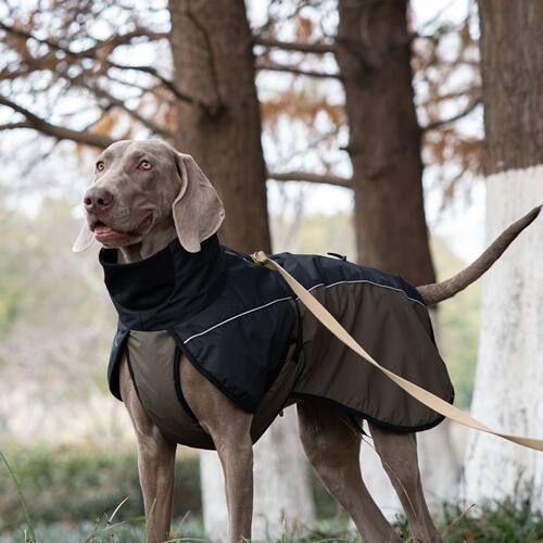 狗狗衣服加厚保暖魏玛灵缇犬拉布拉多户外棉衣马甲滑雪服防风高领
