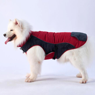 秋冬狗狗衣服中大型犬狗衣服反光条加厚保暖防泼水宠物户外冬装
