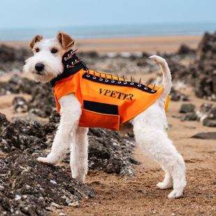 两用宠物防咬保护服铆钉比熊约克夏户外运动防撕咬防护盾马甲背心