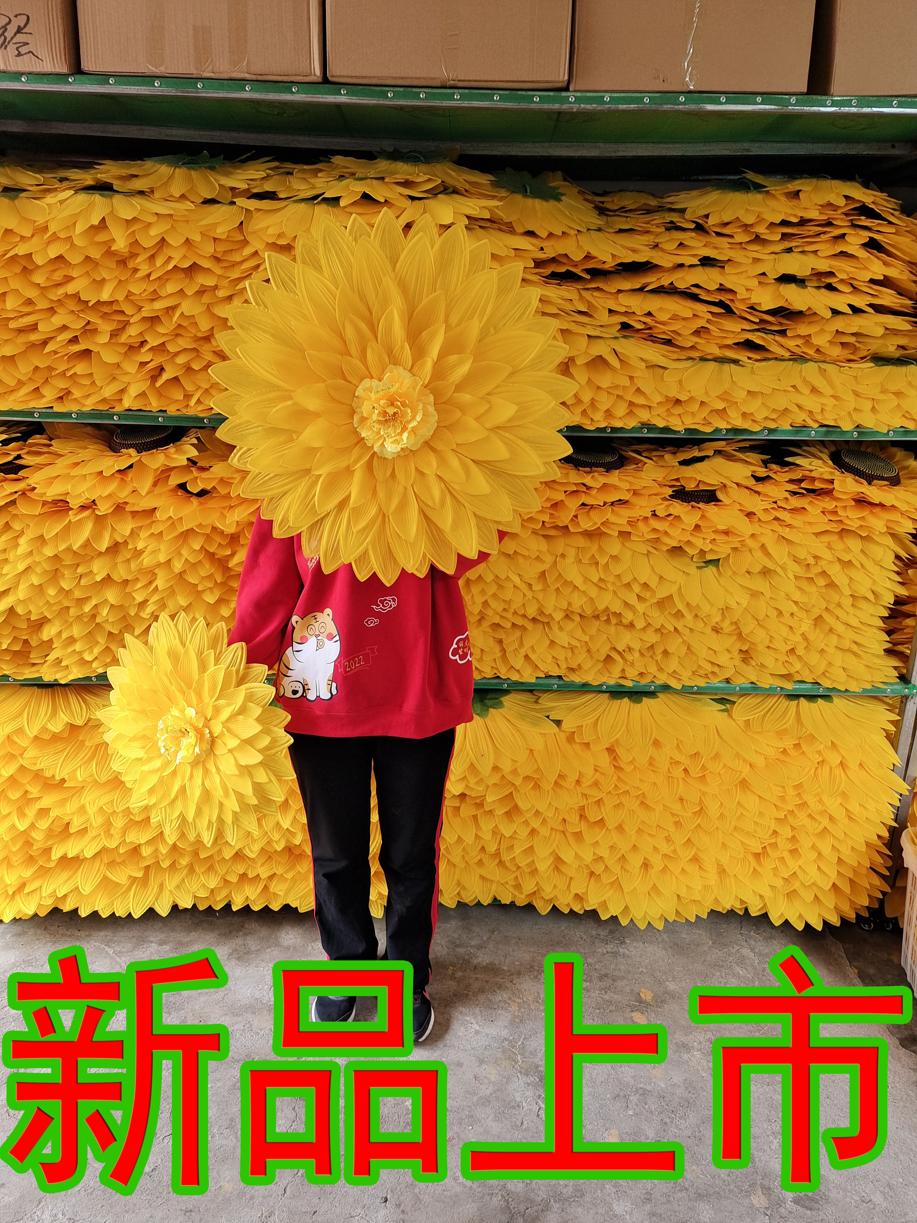 小荷风采党的阳光照我成长舞蹈向日葵手拿花儿童女蓬蓬纱裙公主服