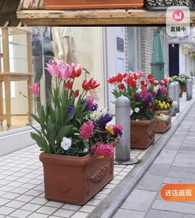 麦穗马槽 50*28*28 红陶泥花盆