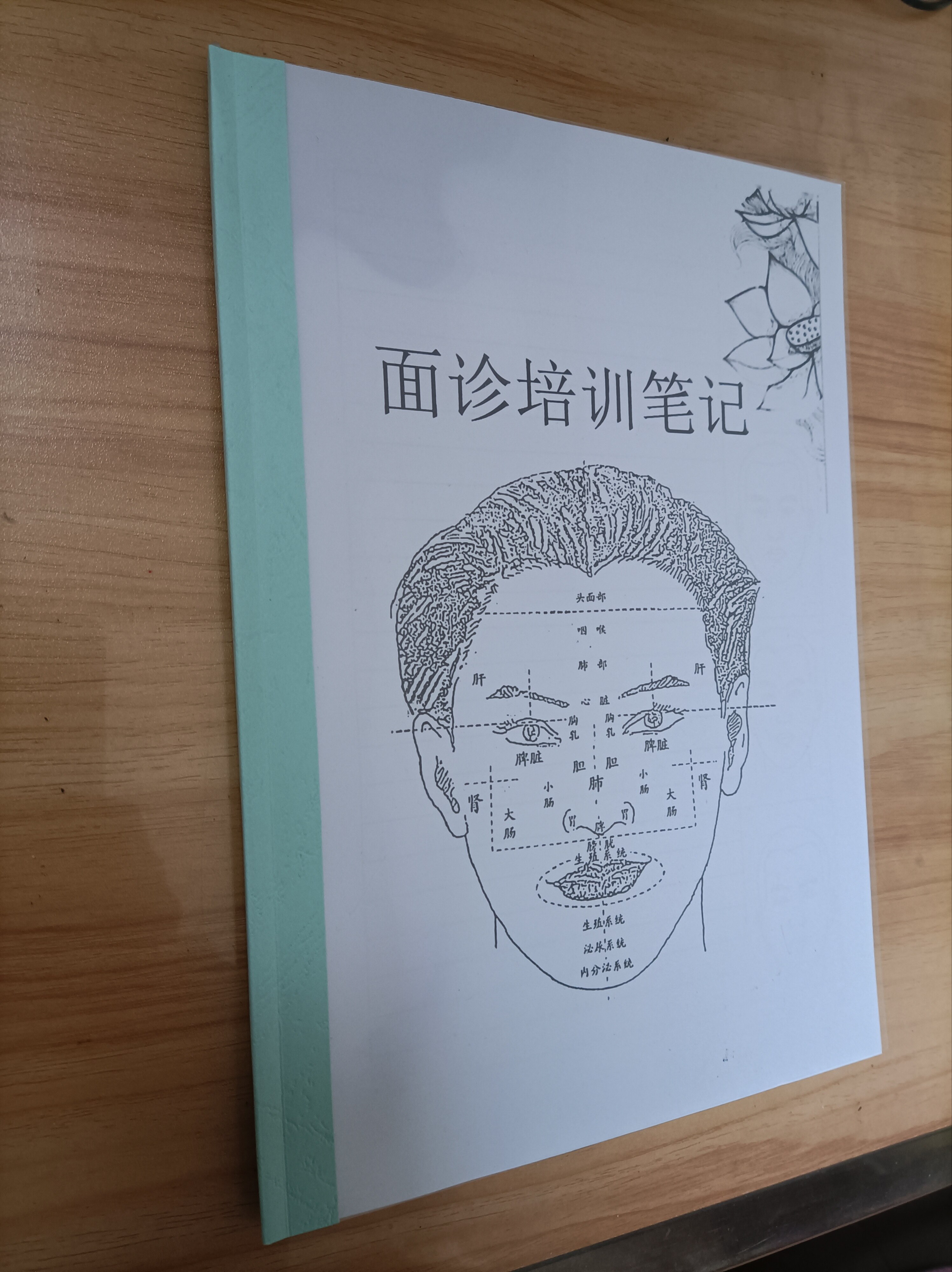 面诊培训笔记本,头部反射区按摩穴位笔记本,16K大本A4,80页双面