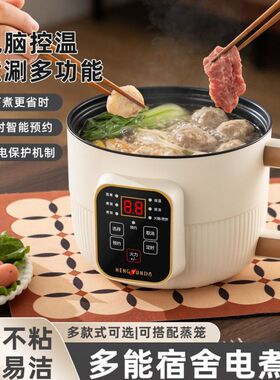 电煮锅家用多功能一体煎炒煮电热火锅小型电锅宿舍学生煮粥泡面锅