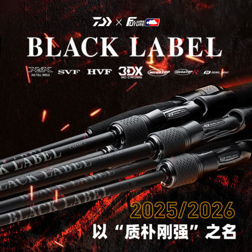 25新款黑标DAIWA日版路亚竿BLACK LABEL远投杆虫竿达亿瓦钓鱼竿虫