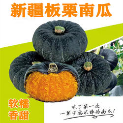 新疆板栗贝贝南瓜种籽子孑香芋贵族红银栗丑南瓜春季秋季蔬菜种孑