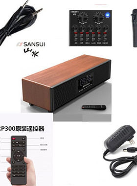 Sansui/山水 P300配件遥控器N10话筒充电器电源线连接线评书戏卡