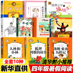 清华附小暑期书单三年级狐狸小学的插班生足球大侠嘭嘭嘭大盗贼书全套四年级大林和小林注音版狐狸列那的故事汤姆索亚历险记必读