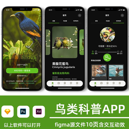 鸟类科普app界面原型设计ui交互动效figma 源文件