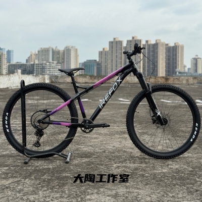 火狐桶轴12速整车前10名送头盔