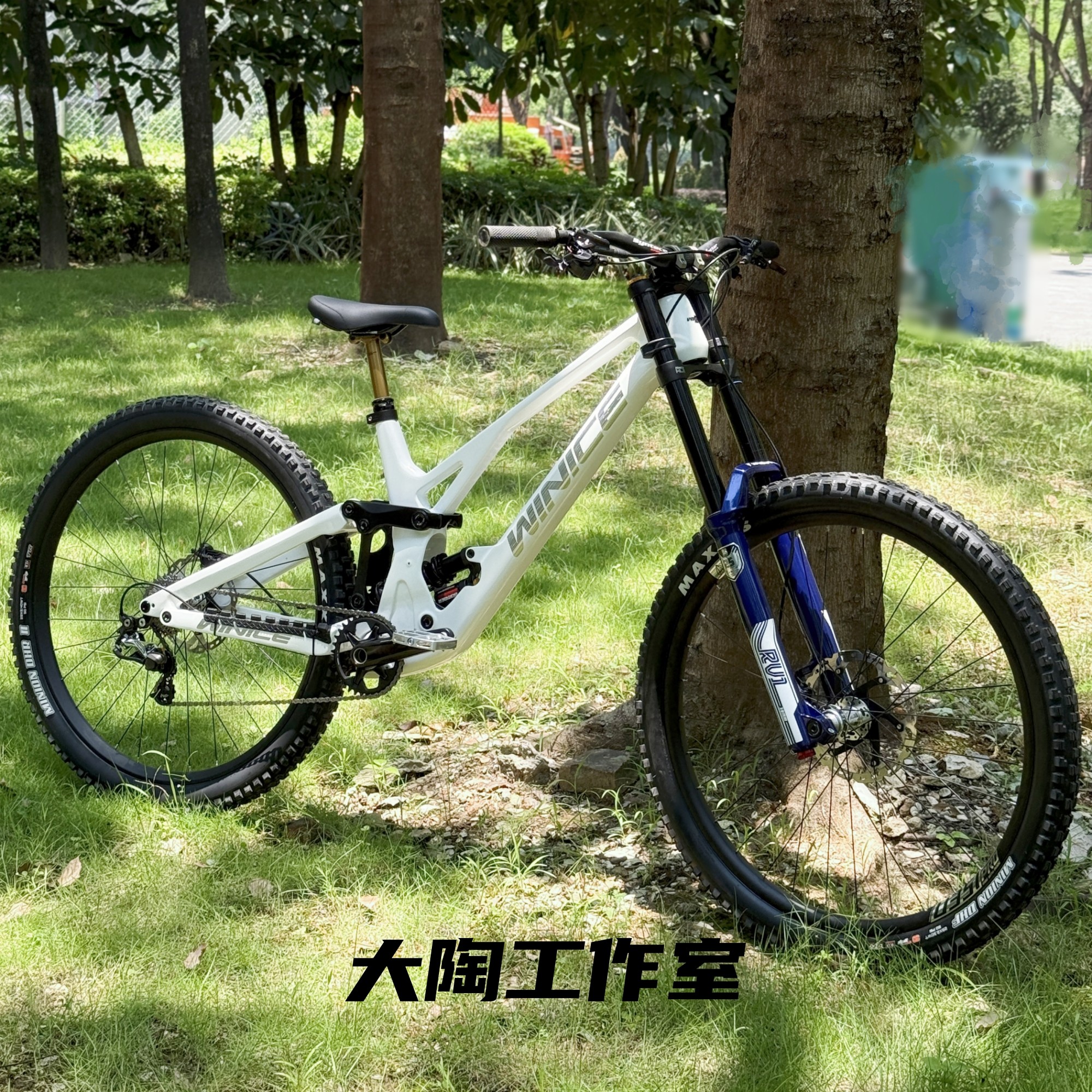 winice青龙玄武山地越野速降车架enduro碳钎维软尾自行车27.5寸29