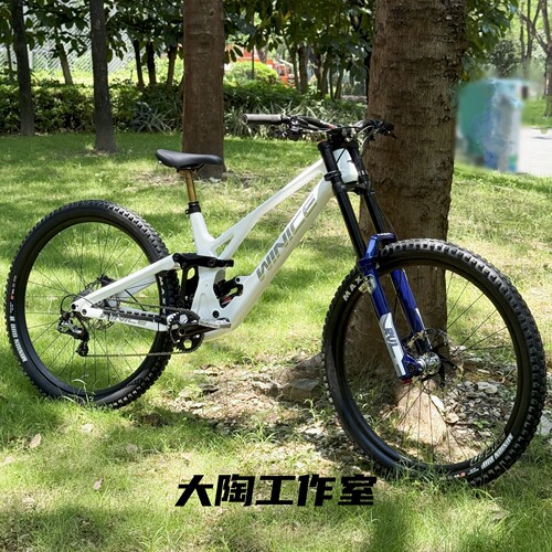 做工不错结构新颖碳纤维软尾车架