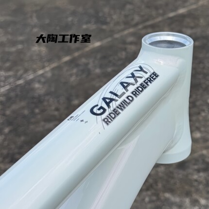 Wissco威仕高 GALAXY盖星 DJ土坡车架 26寸单速鱼尾刷街 带拉链器