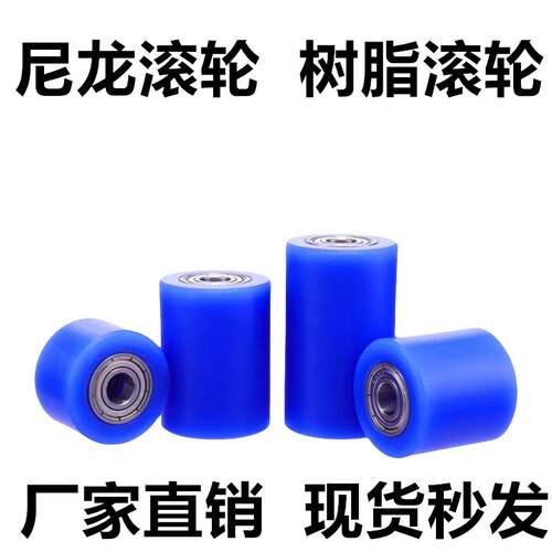 内径6 PA尼龙滚筒双轴承导轮RORMCS无动力树脂滚轮输送带轮QAC77
