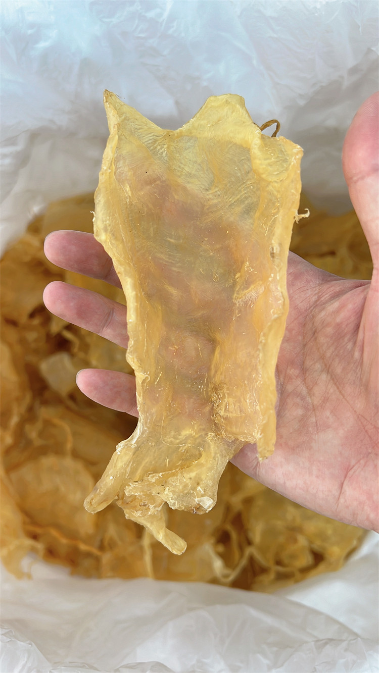 18头斗湖公胶 印尼鱼胶花胶