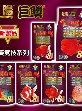 巨鳞热带鱼比赛竞技系列