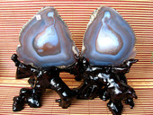 4452天然玛瑙石切片玉髓16.5公分象形新娘子奇石