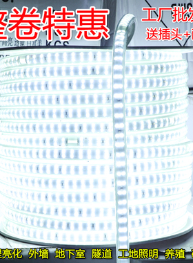 220v防水灯带超亮白光养殖照明户外工地矿井地下室低压24v36v灯条