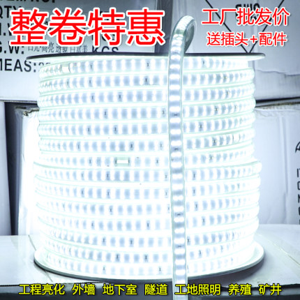 220v防水灯带超亮白光养殖照明户外工地矿井地下室低压24v36v灯条