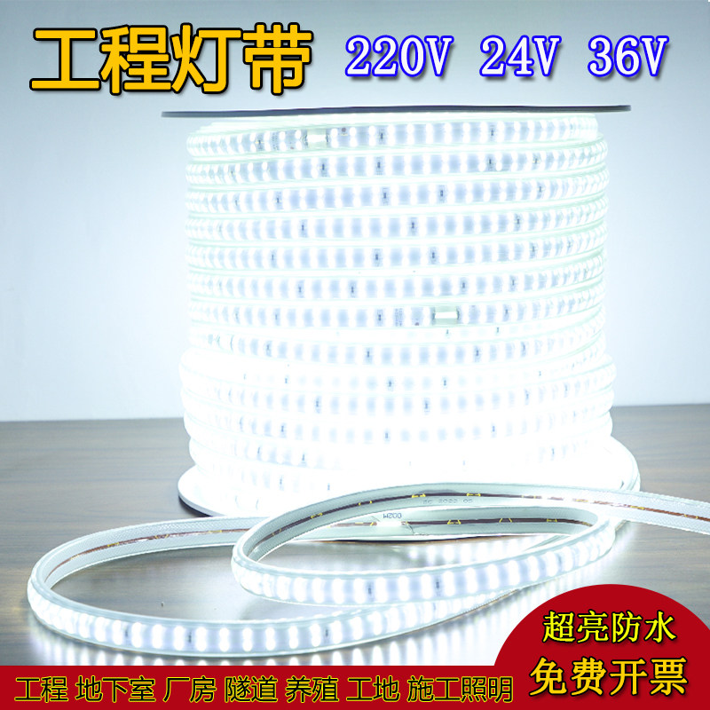 led灯带工程超亮地下室内家装养殖户外防水工地照明亮化灯条220V
