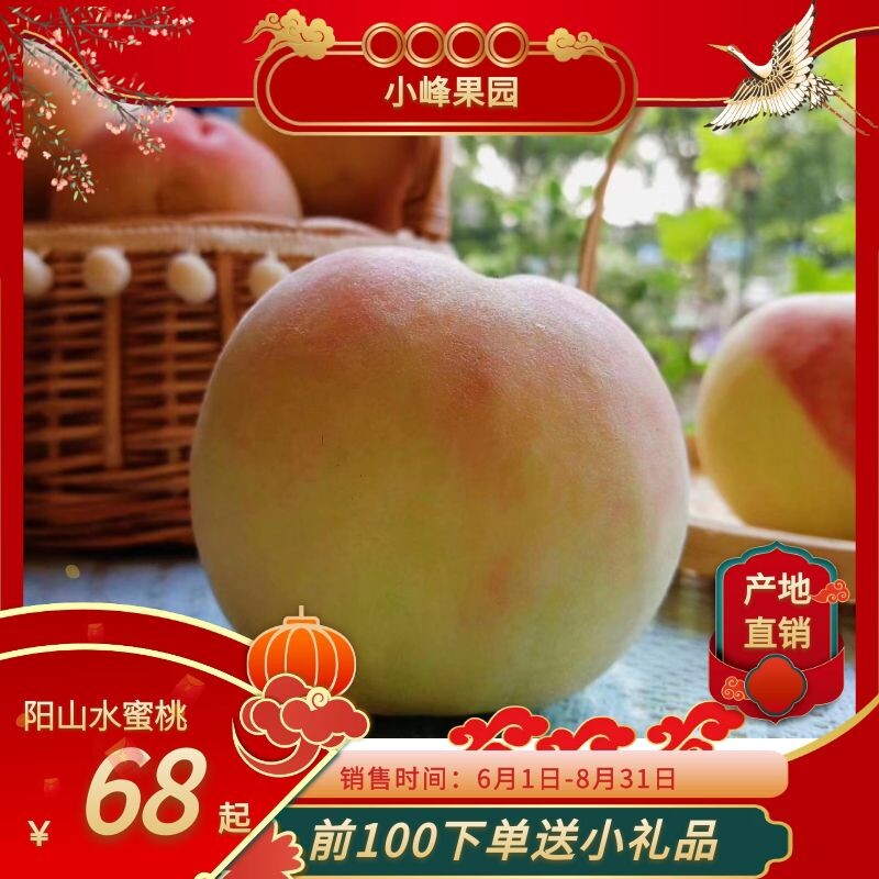 正宗无锡阳山水蜜桃阳山蜜露无锡桃子湖景桃白凤桃当季新鲜水果