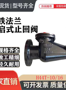 H44T-16旋启式止回阀 铸铁铜芯法兰止回阀DN40 50 80 100 150 200