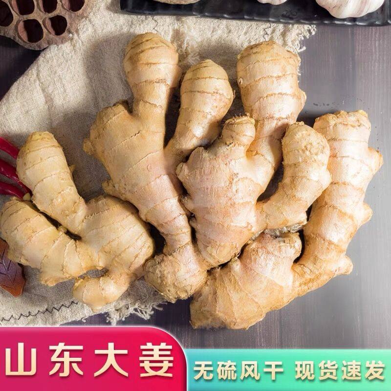 山东生姜老姜5斤大黄姜新鲜老姜母风干月子姜整块非小黄姜10包邮