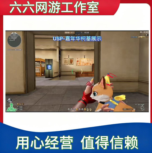 CF穿越火线嘉年华柯基USP永久