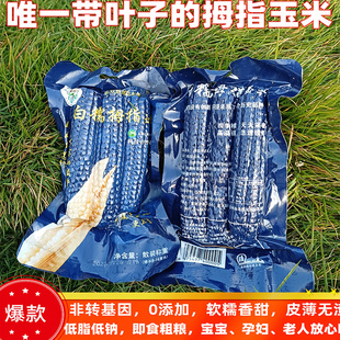 雨林情怀拇指玉米西双版 纳非转基因0添加新鲜即食带皮低脂小玉米