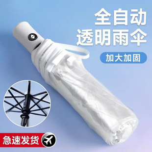 户外全自动透明雨伞可折叠ins高颜值拍照神器双人加固大小巧便携
