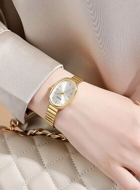 Fashion Ladies Watch ins Wind Premium Sense Oval Steel Belt