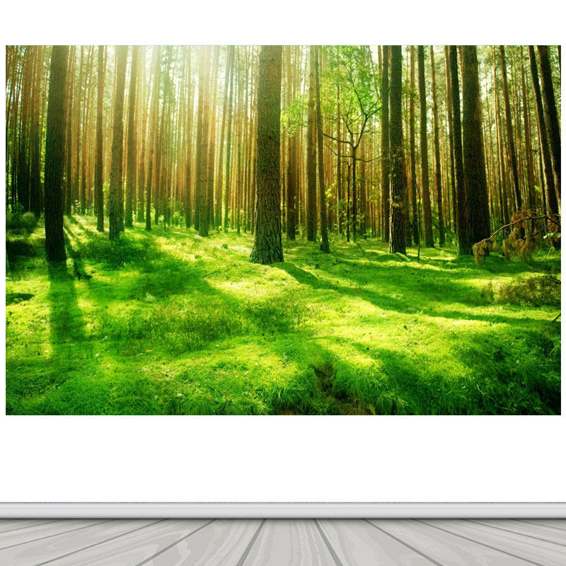 阳光森林 绿色护眼海报贴纸壁画   树林美景沙发背景墙自粘贴纸画